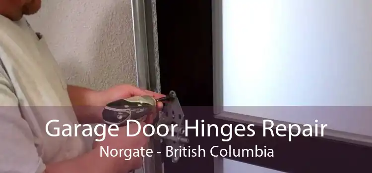 Garage Door Hinges Repair Norgate - British Columbia