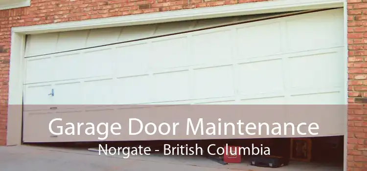 Garage Door Maintenance Norgate - British Columbia
