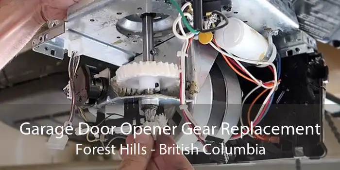 Garage Door Opener Gear Replacement Forest Hills - British Columbia