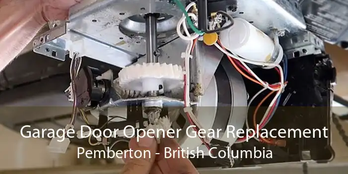 Garage Door Opener Gear Replacement Pemberton - British Columbia