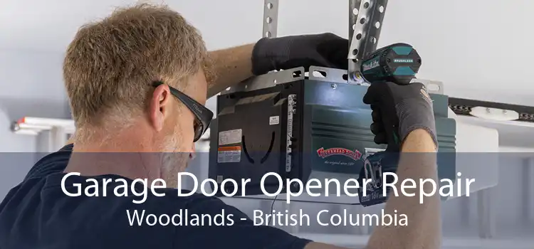 Garage Door Opener Repair Woodlands - British Columbia
