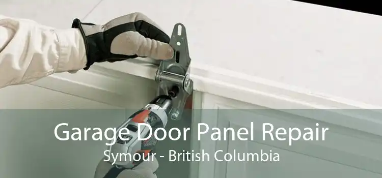 Garage Door Panel Repair Symour - British Columbia