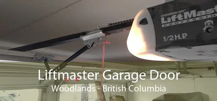Liftmaster Garage Door Woodlands - British Columbia