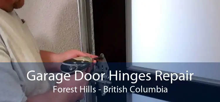 Garage Door Hinges Repair Forest Hills - British Columbia