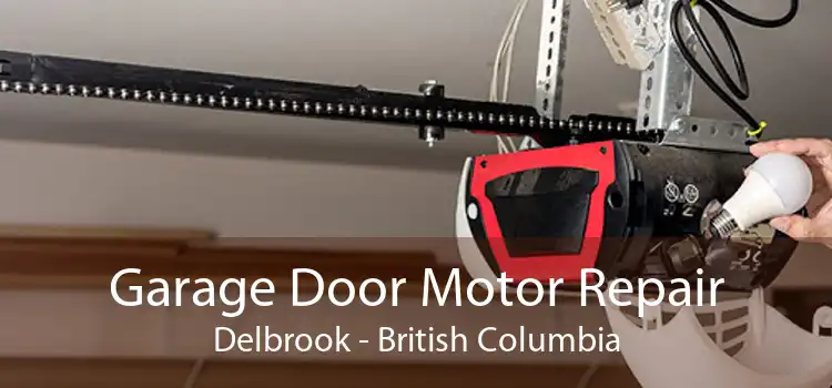 Garage Door Motor Repair Delbrook - British Columbia