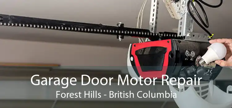 Garage Door Motor Repair Forest Hills - British Columbia