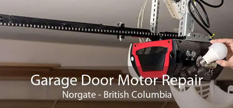 Garage Door Motor Repair Norgate - British Columbia