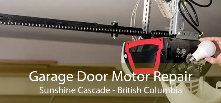 Garage Door Motor Repair Sunshine Cascade - British Columbia