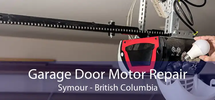 Garage Door Motor Repair Symour - British Columbia