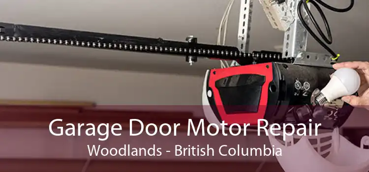 Garage Door Motor Repair Woodlands - British Columbia