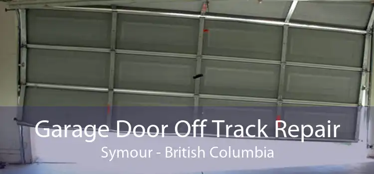 Garage Door Off Track Repair Symour - British Columbia