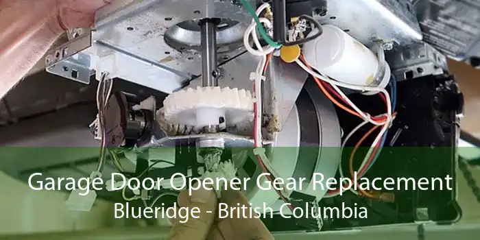 Garage Door Opener Gear Replacement Blueridge - British Columbia