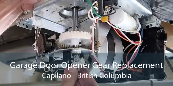 Garage Door Opener Gear Replacement Capilano - British Columbia
