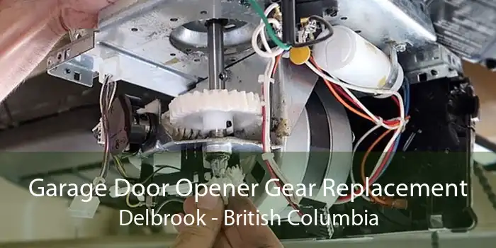 Garage Door Opener Gear Replacement Delbrook - British Columbia