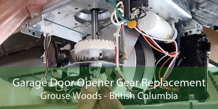 Garage Door Opener Gear Replacement Grouse Woods - British Columbia