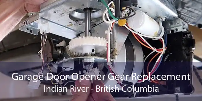 Garage Door Opener Gear Replacement Indian River - British Columbia