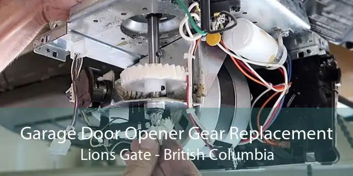 Garage Door Opener Gear Replacement Lions Gate - British Columbia