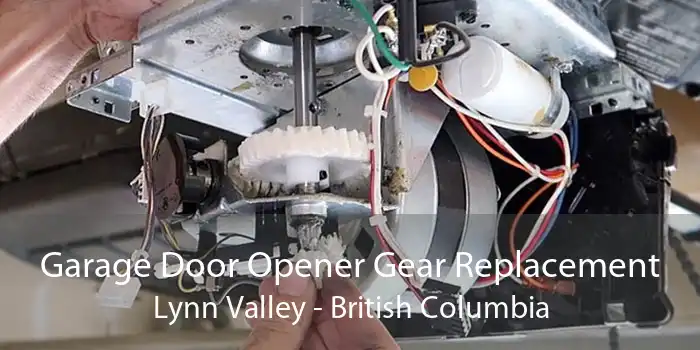 Garage Door Opener Gear Replacement Lynn Valley - British Columbia