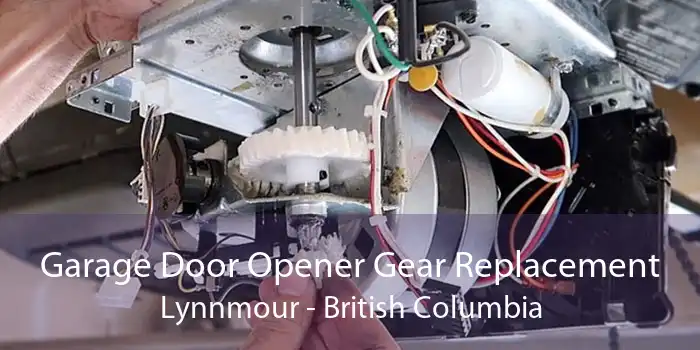 Garage Door Opener Gear Replacement Lynnmour - British Columbia
