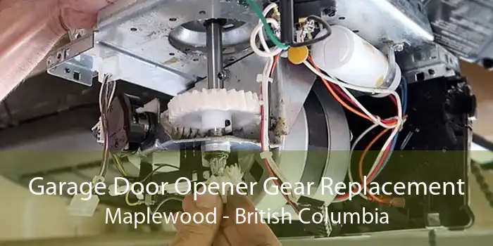 Garage Door Opener Gear Replacement Maplewood - British Columbia