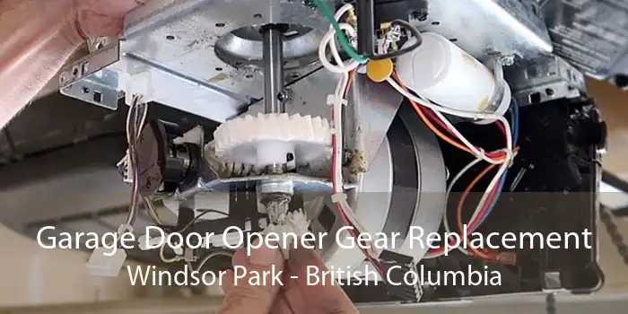 Garage Door Opener Gear Replacement Windsor Park - British Columbia