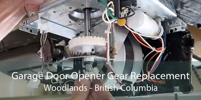 Garage Door Opener Gear Replacement Woodlands - British Columbia