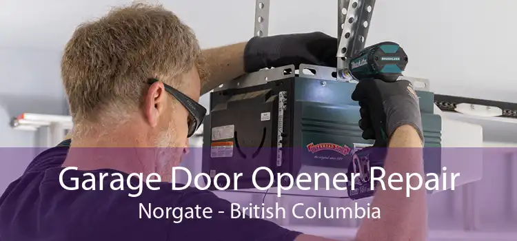 Garage Door Opener Repair Norgate - British Columbia