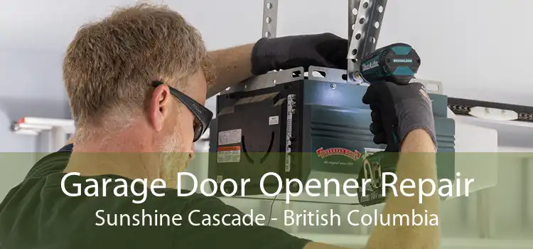 Garage Door Opener Repair Sunshine Cascade - British Columbia