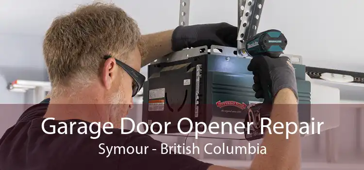Garage Door Opener Repair Symour - British Columbia