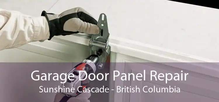 Garage Door Panel Repair Sunshine Cascade - British Columbia