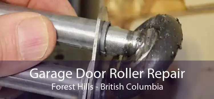Garage Door Roller Repair Forest Hills - British Columbia