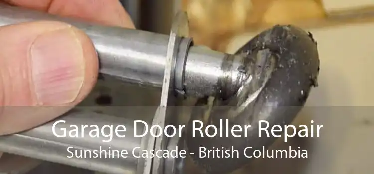 Garage Door Roller Repair Sunshine Cascade - British Columbia