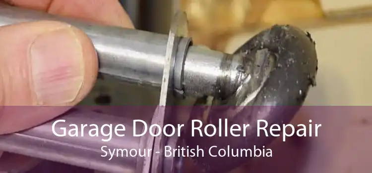 Garage Door Roller Repair Symour - British Columbia