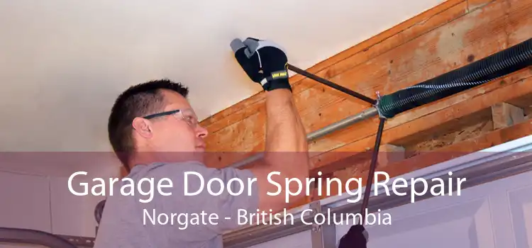 Garage Door Spring Repair Norgate - British Columbia