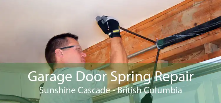 Garage Door Spring Repair Sunshine Cascade - British Columbia