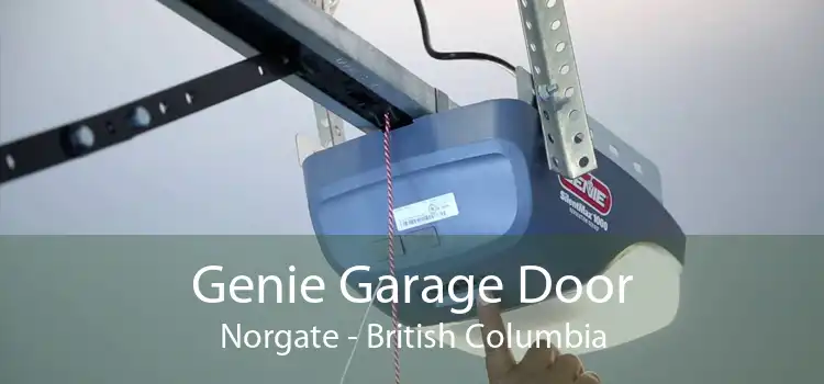 Genie Garage Door Norgate - British Columbia