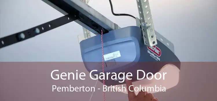 Genie Garage Door Pemberton - British Columbia
