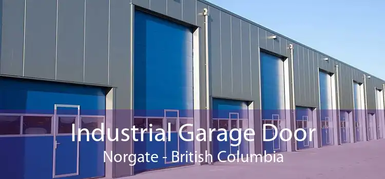 Industrial Garage Door Norgate - British Columbia