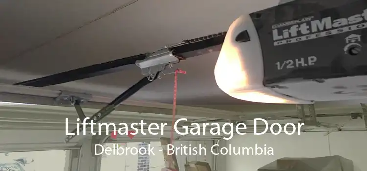 Liftmaster Garage Door Delbrook - British Columbia