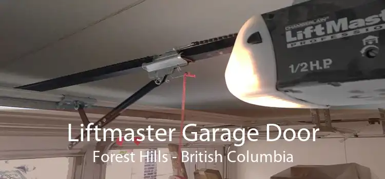 Liftmaster Garage Door Forest Hills - British Columbia