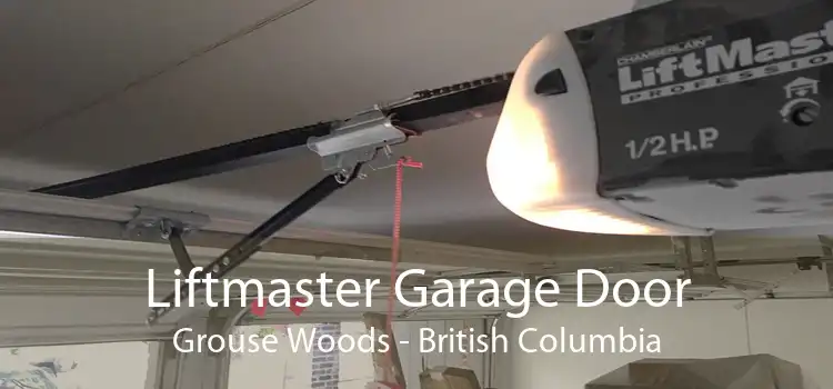 Liftmaster Garage Door Grouse Woods - British Columbia