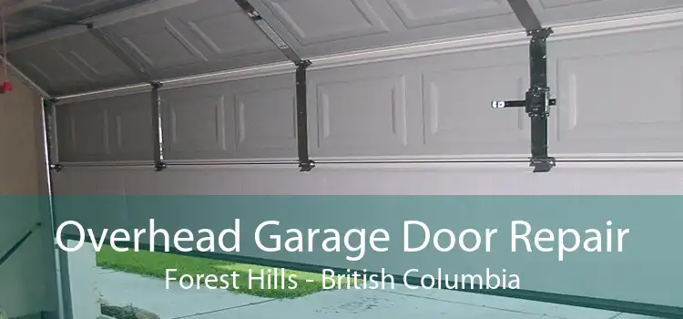 Overhead Garage Door Repair Forest Hills - British Columbia