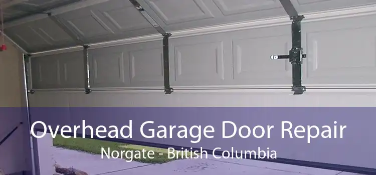 Overhead Garage Door Repair Norgate - British Columbia