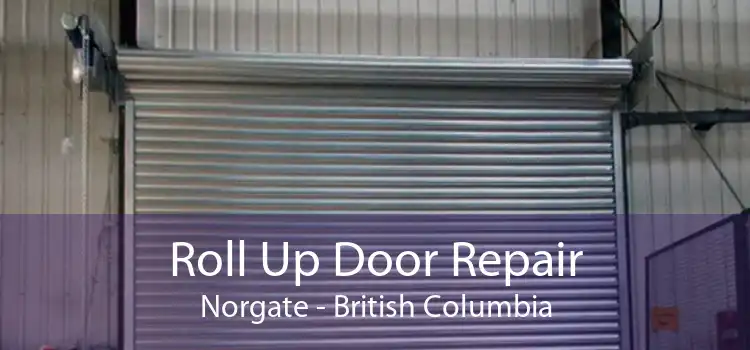 Roll Up Door Repair Norgate - British Columbia
