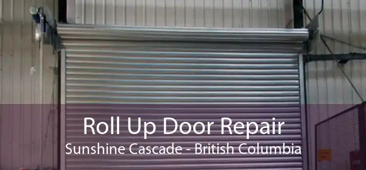 Roll Up Door Repair Sunshine Cascade - British Columbia